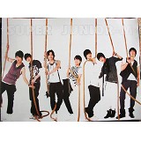 明星布纹海报-Super junior