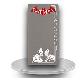 蝙蝠侠少年版灰色长款钱包（D款）