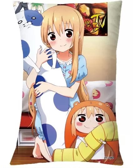 2462干物妹小埋双面抱枕40*60CM_其他_欧凡