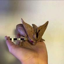 七龙珠沙鲁幼虫形态手办